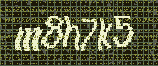 CAPTCHA_picture