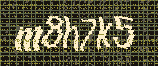 CAPTCHA_picture