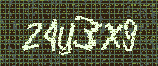 CAPTCHA_picture