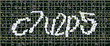 CAPTCHA_picture