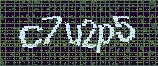 CAPTCHA_picture