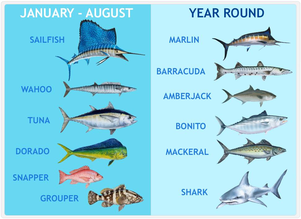 Fishing calendar