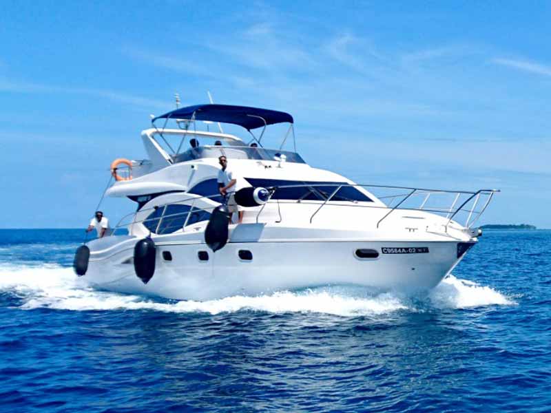 Rent a Sea ray 42 in Cozumel