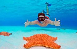 Snorkel rental playa del carmen best airbnb in playa del carmen